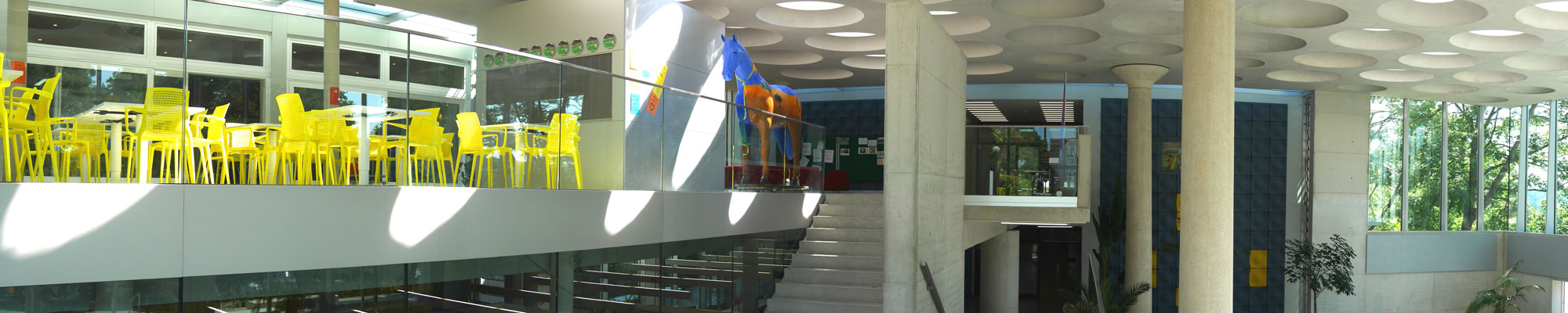 Unsere Bibliothek - Eckenberg-Gymnasium Adelsheim